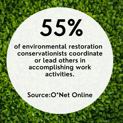 Image of infographic greenery with text that says: “55% of environmental conservationists coordinate or lead others in accomplishing work activities.”